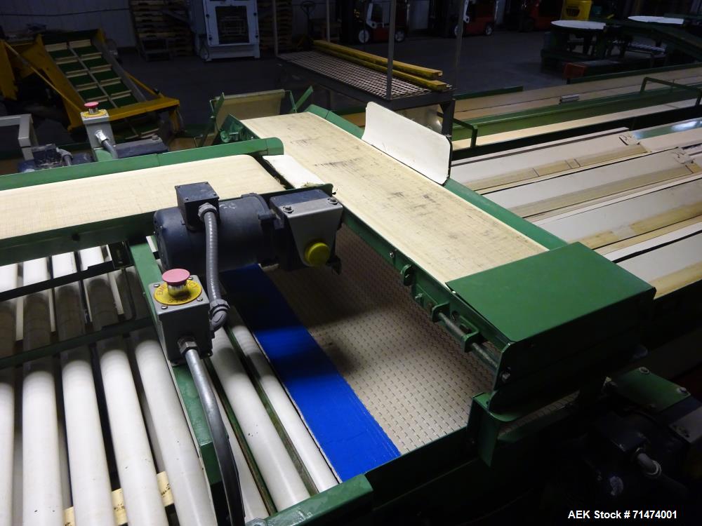 Used Durand-Wayland Fruit Sizing, Polishing and Bag Packaging Line