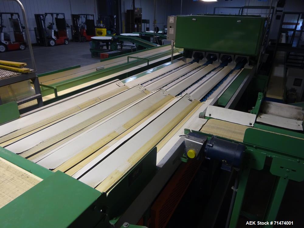 Used Durand-Wayland Fruit Sizing, Polishing and Bag Packaging Line