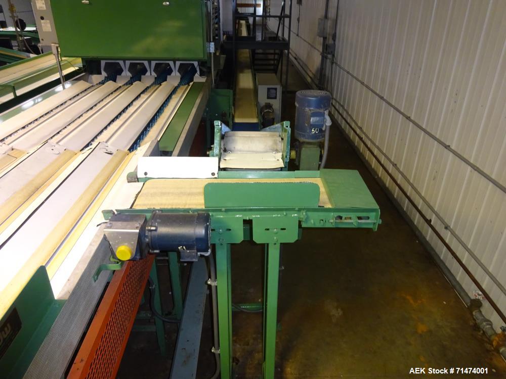 Used Durand-Wayland Fruit Sizing, Polishing and Bag Packaging Line