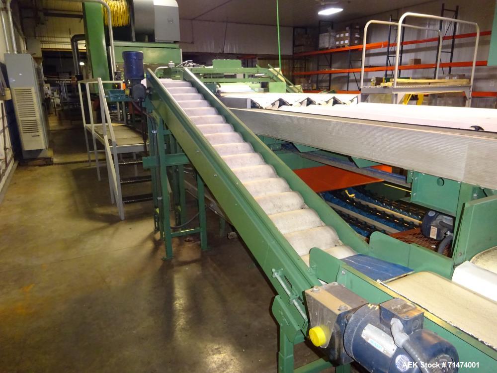 Used Durand-Wayland Fruit Sizing, Polishing and Bag Packaging Line