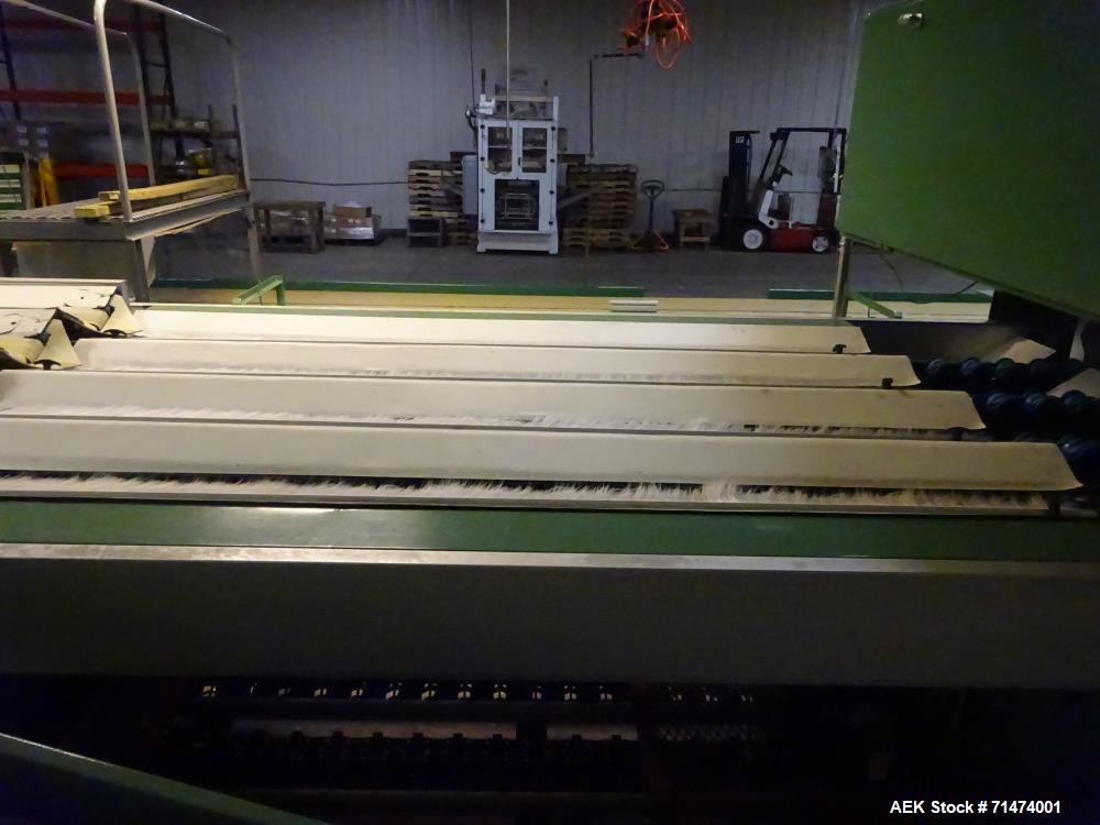 Used Durand-Wayland Fruit Sizing, Polishing and Bag Packaging Line