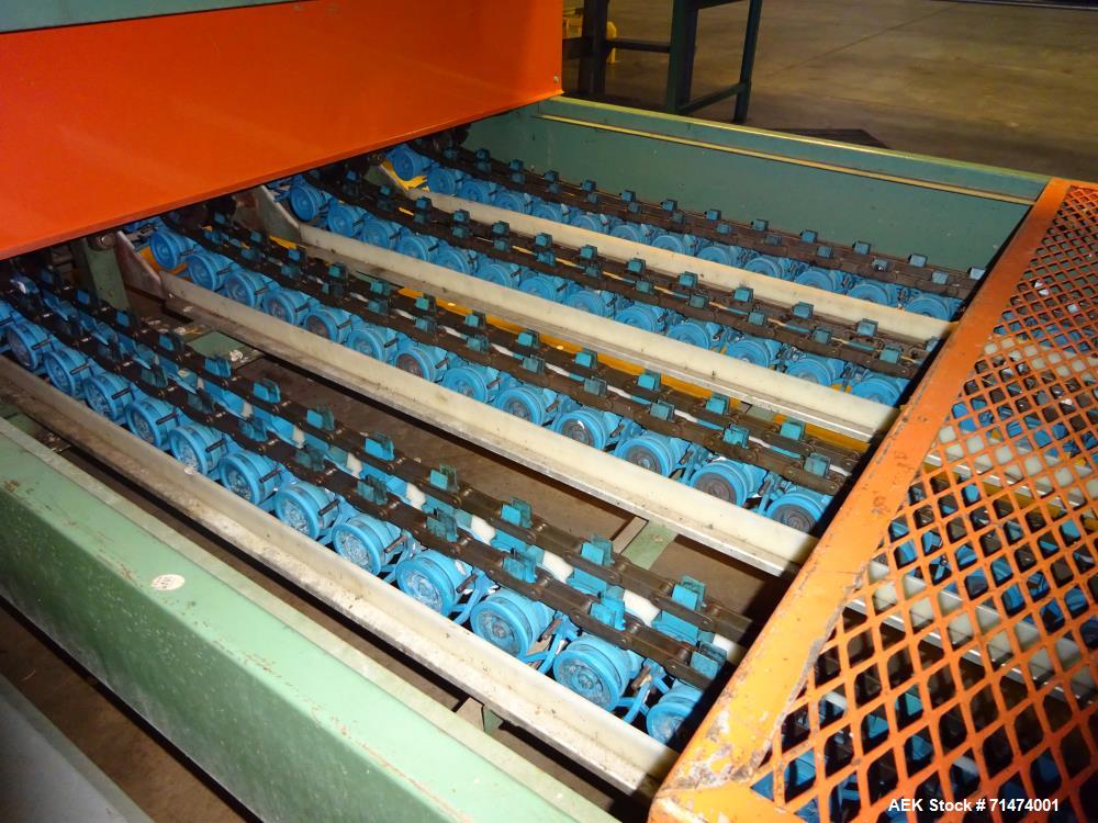 Used Durand-Wayland Fruit Sizing, Polishing and Bag Packaging Line