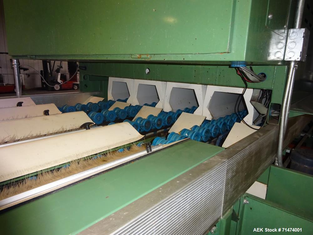 Used Durand-Wayland Fruit Sizing, Polishing and Bag Packaging Line
