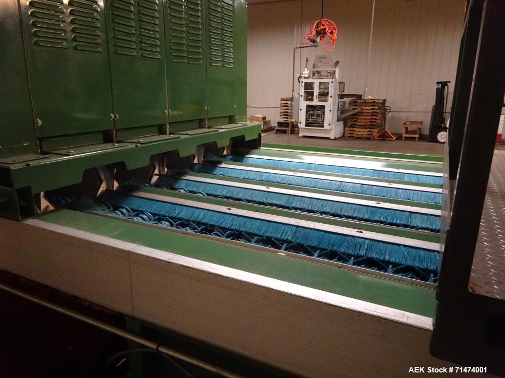 Used Durand-Wayland Fruit Sizing, Polishing and Bag Packaging Line