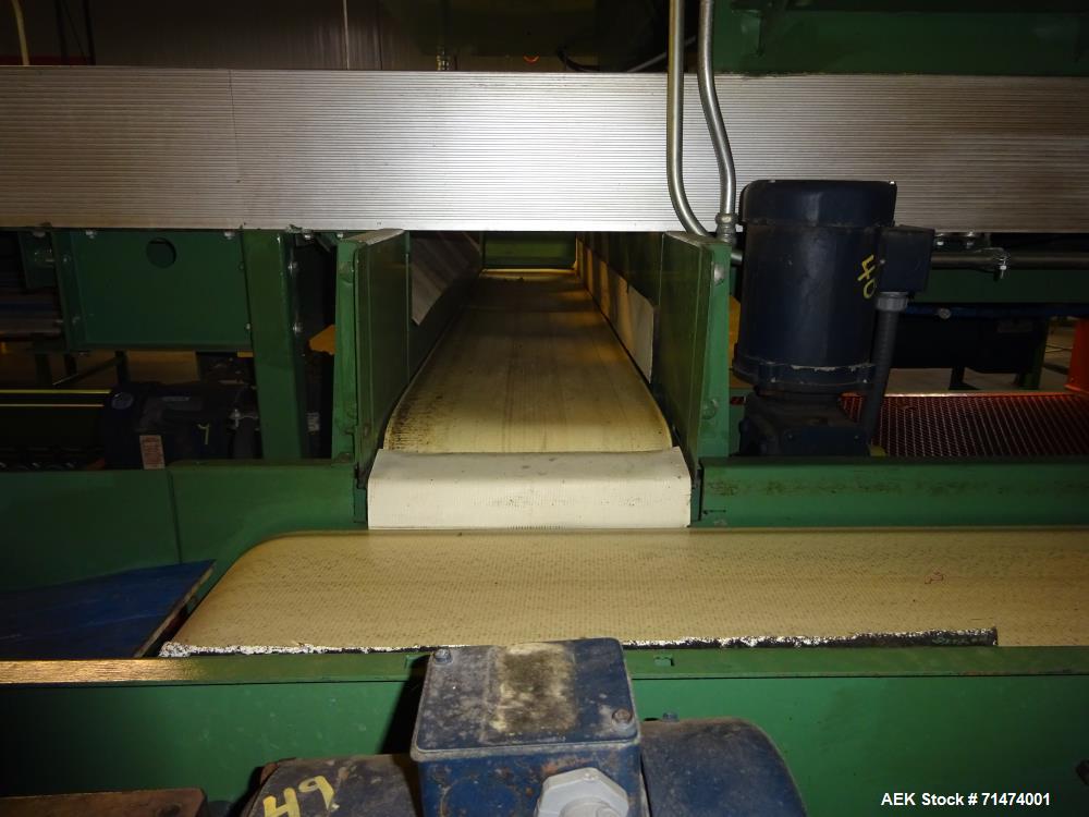 Used Durand-Wayland Fruit Sizing, Polishing and Bag Packaging Line