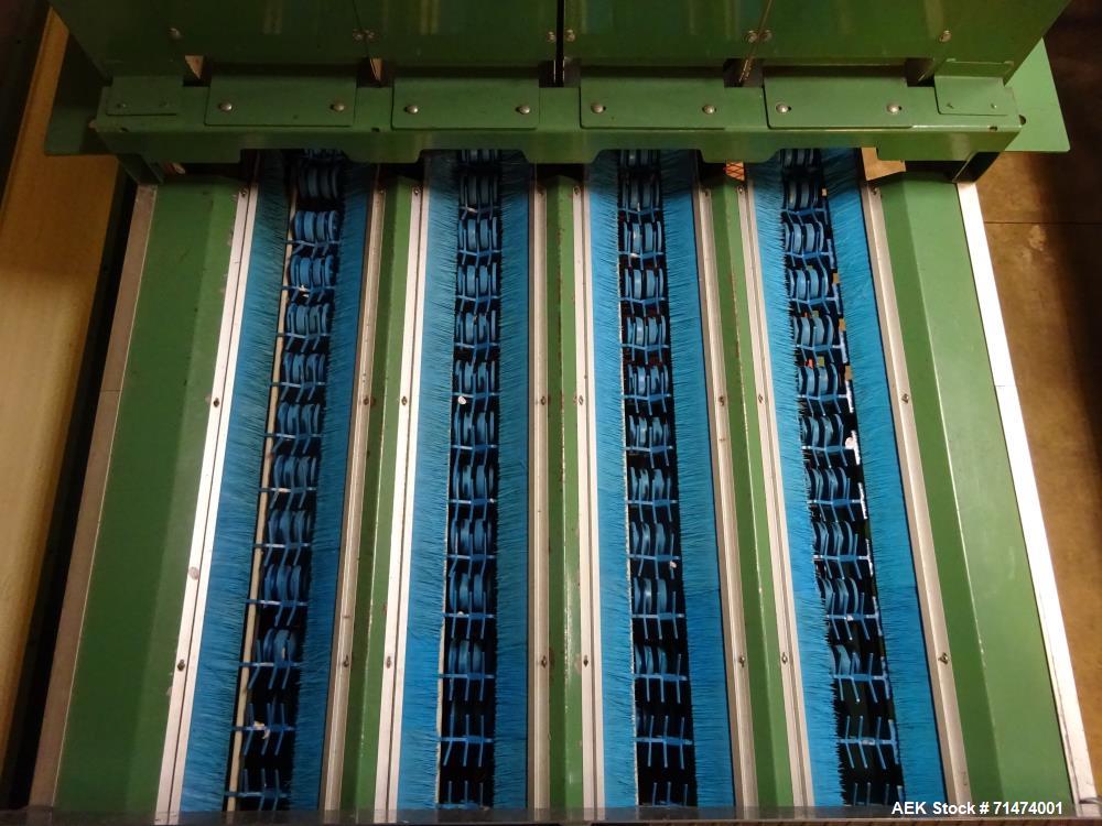 Used Durand-Wayland Fruit Sizing, Polishing and Bag Packaging Line
