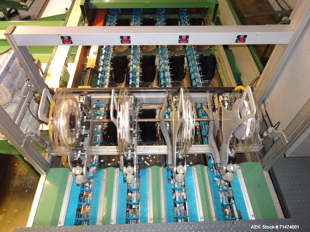 Used Durand-Wayland Fruit Sizing, Polishing and Bag Packaging Line