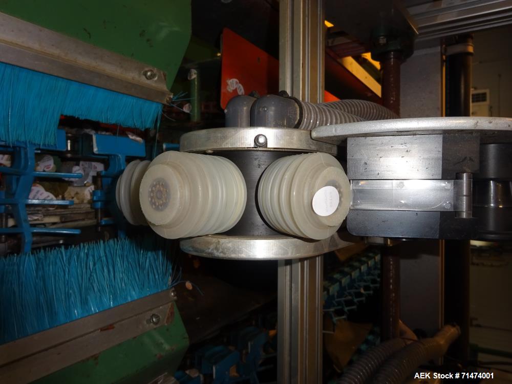 Used Durand-Wayland Fruit Sizing, Polishing and Bag Packaging Line