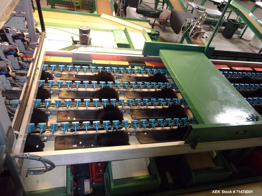 Used Durand-Wayland Fruit Sizing, Polishing and Bag Packaging Line