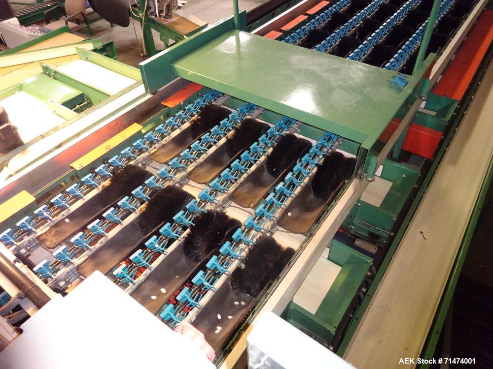 Used Durand-Wayland Fruit Sizing, Polishing and Bag Packaging Line