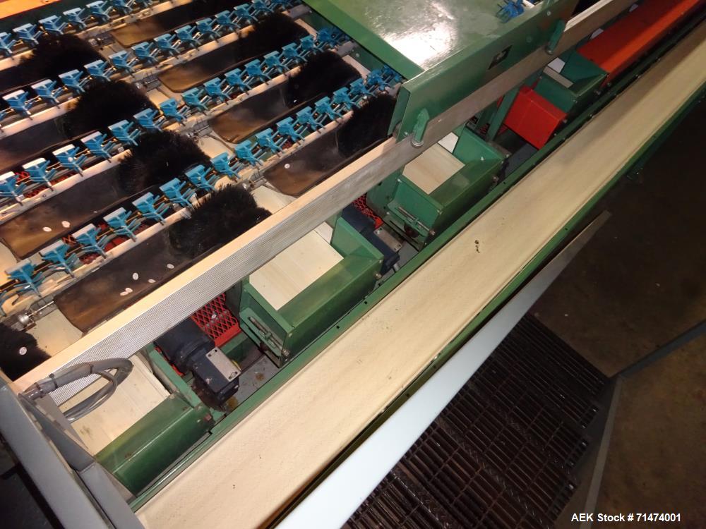 Used Durand-Wayland Fruit Sizing, Polishing and Bag Packaging Line