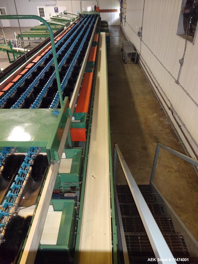 Used Durand-Wayland Fruit Sizing, Polishing and Bag Packaging Line