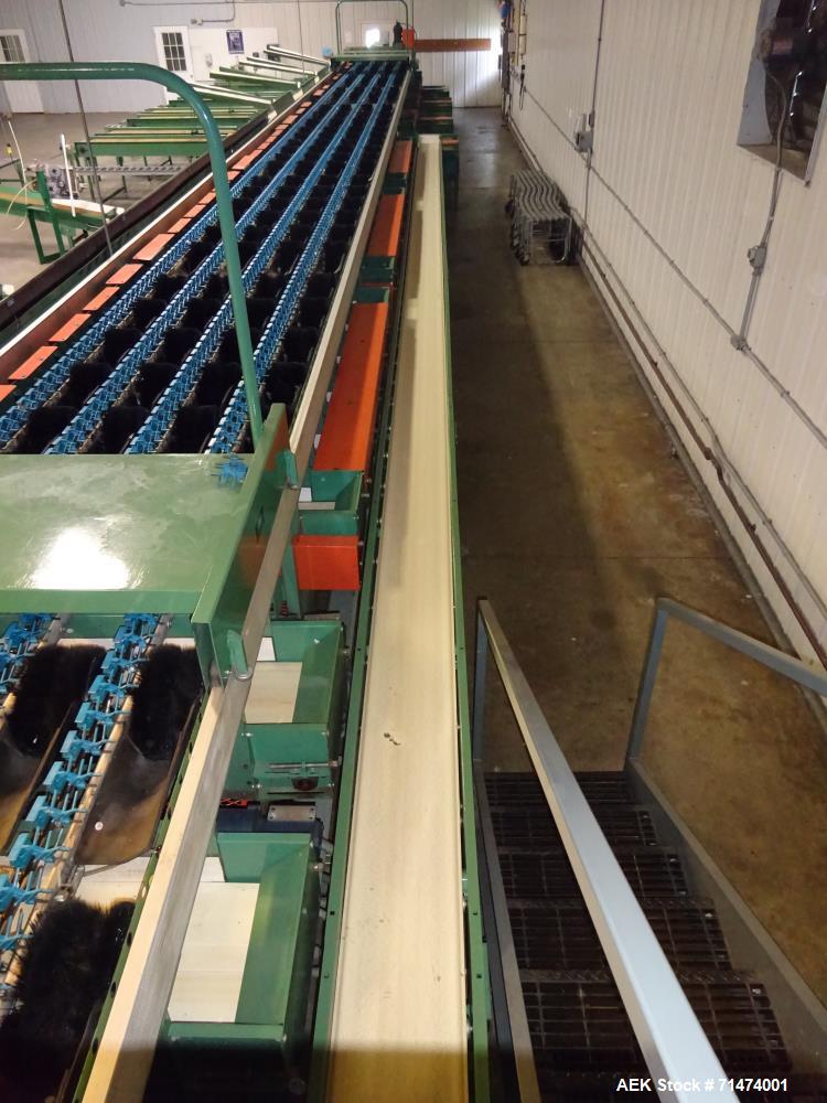 Used- Durand-Wayland Fruit Sizing, Polishing and Bag Packaging Line