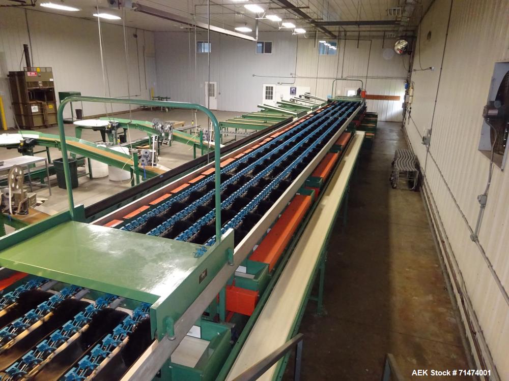 Used Durand-Wayland Fruit Sizing, Polishing and Bag Packaging Line
