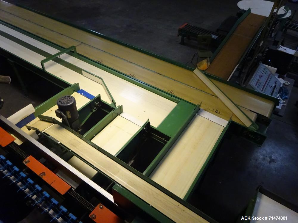 Used Durand-Wayland Fruit Sizing, Polishing and Bag Packaging Line