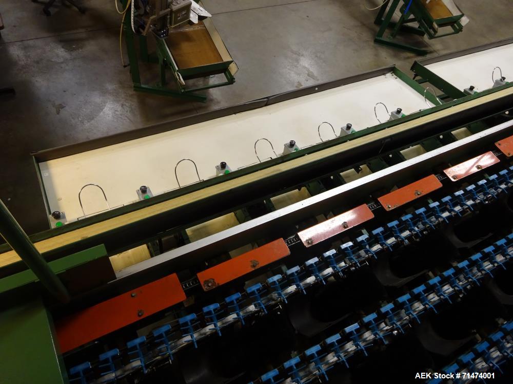 Used Durand-Wayland Fruit Sizing, Polishing and Bag Packaging Line