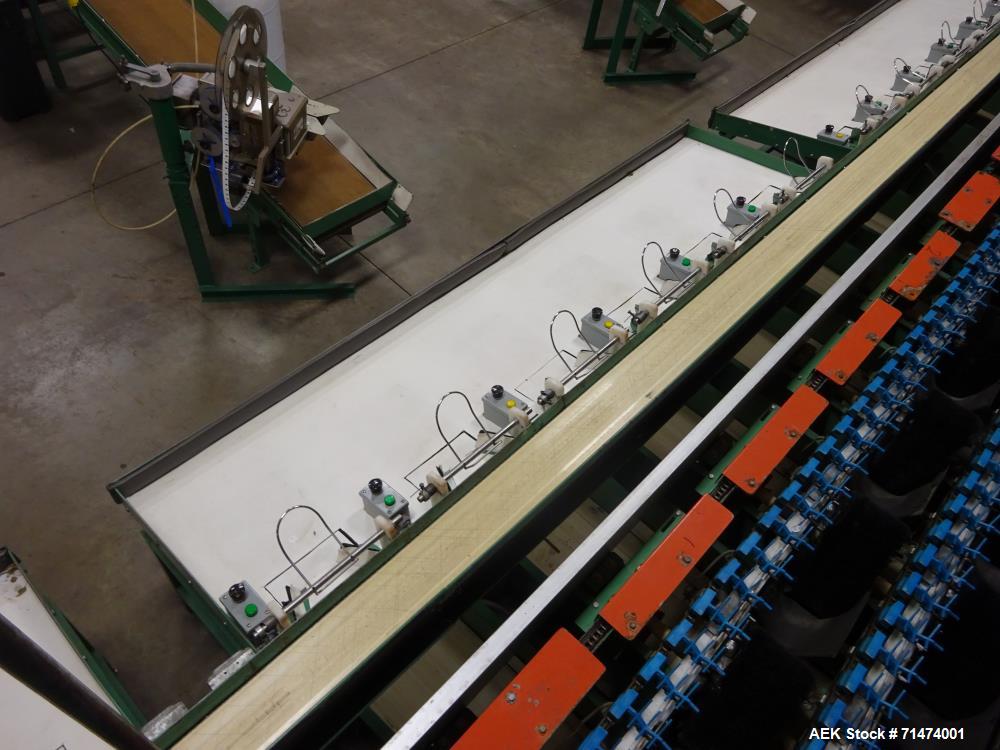 Used Durand-Wayland Fruit Sizing, Polishing and Bag Packaging Line