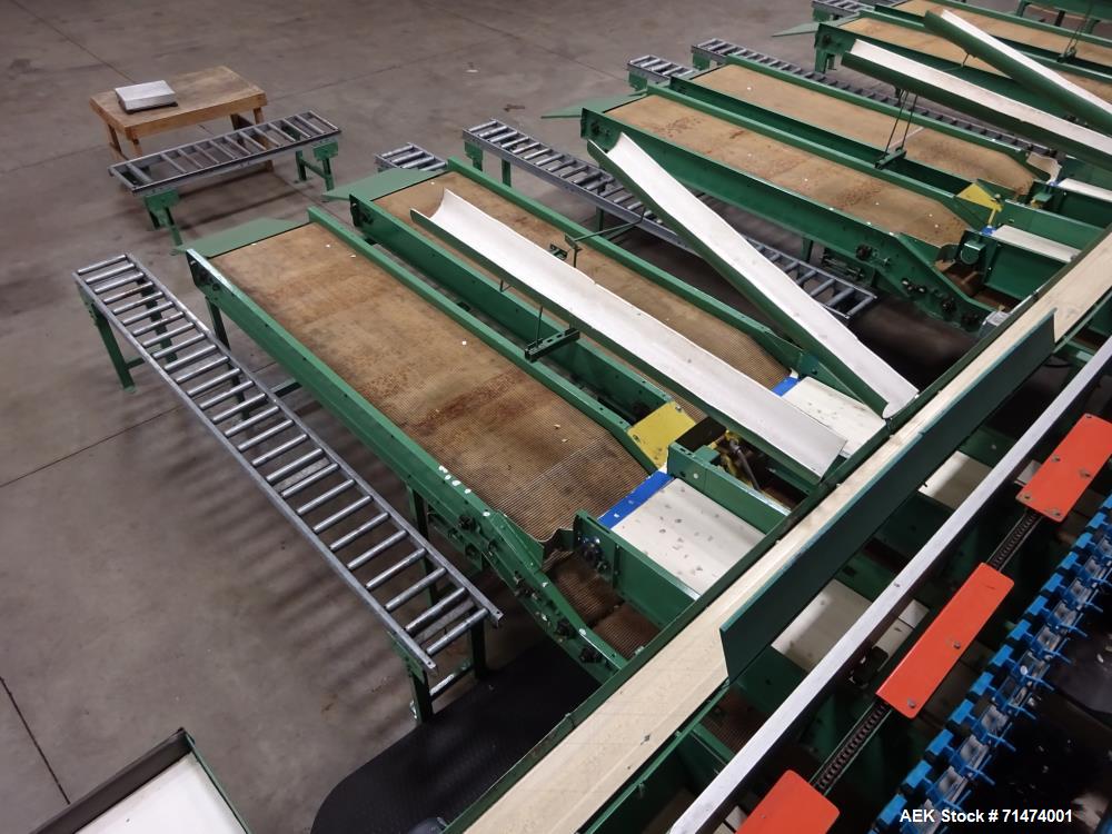 Used Durand-Wayland Fruit Sizing, Polishing and Bag Packaging Line