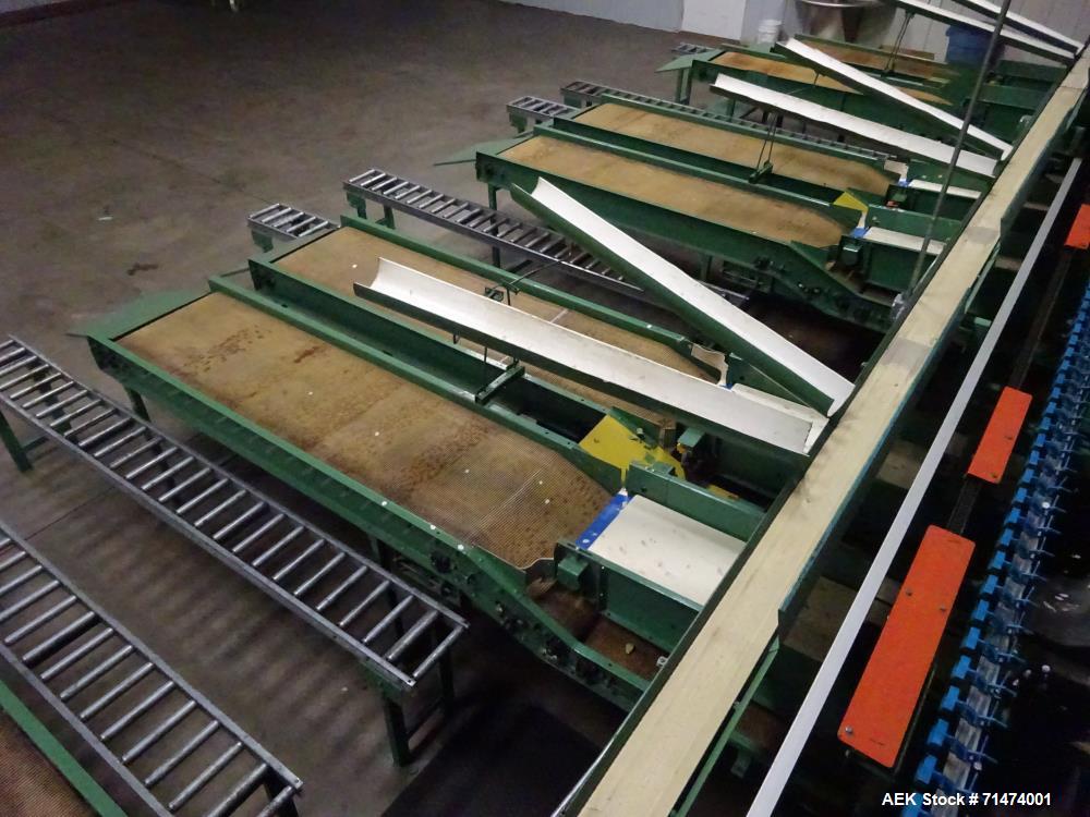 Used Durand-Wayland Fruit Sizing, Polishing and Bag Packaging Line