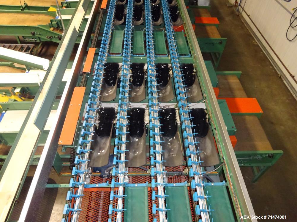Used Durand-Wayland Fruit Sizing, Polishing and Bag Packaging Line