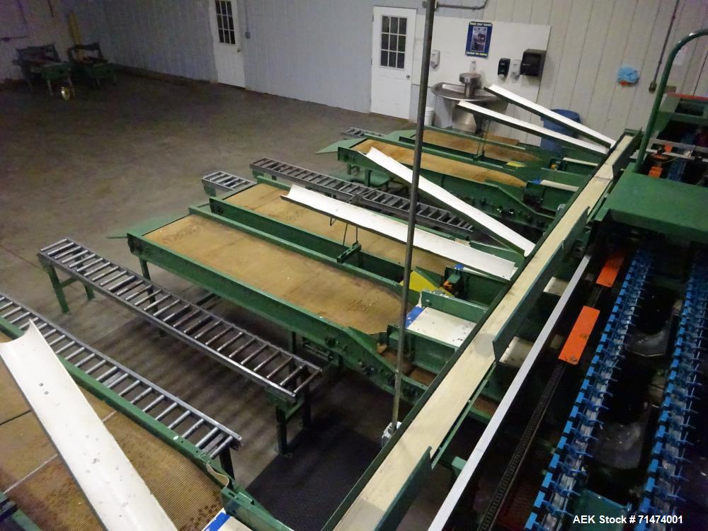 Used Durand-Wayland Fruit Sizing, Polishing and Bag Packaging Line