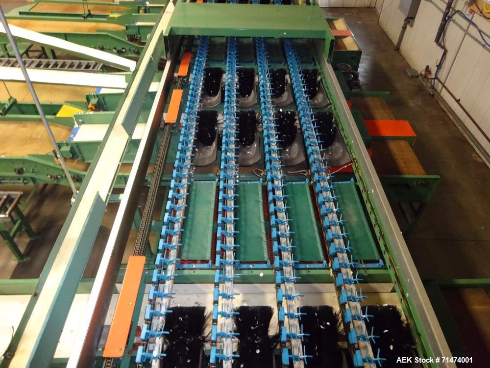 Used Durand-Wayland Fruit Sizing, Polishing and Bag Packaging Line