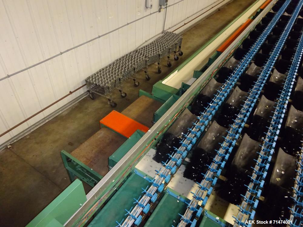 Used Durand-Wayland Fruit Sizing, Polishing and Bag Packaging Line