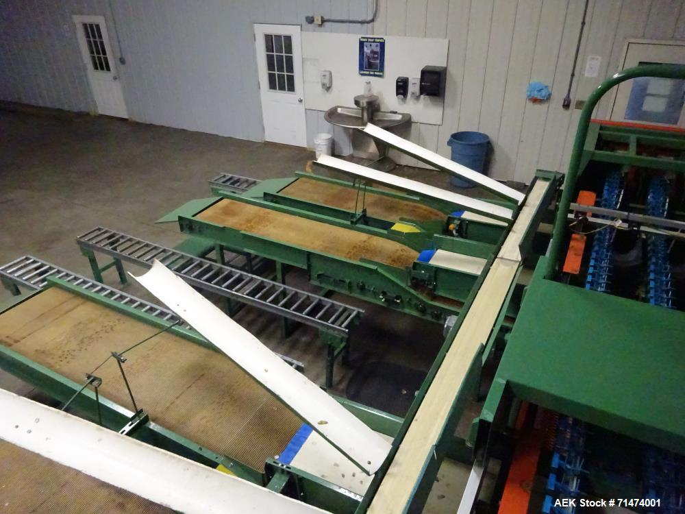 Used Durand-Wayland Fruit Sizing, Polishing and Bag Packaging Line