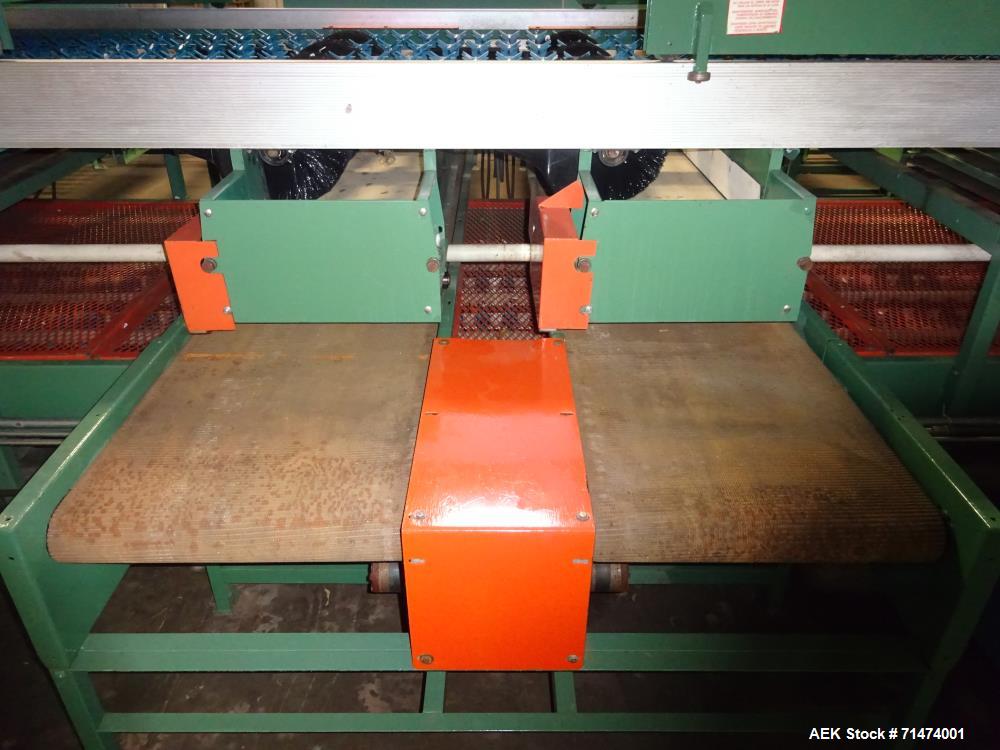 Used Durand-Wayland Fruit Sizing, Polishing and Bag Packaging Line