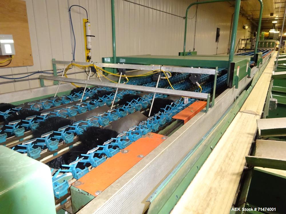 Used Durand-Wayland Fruit Sizing, Polishing and Bag Packaging Line