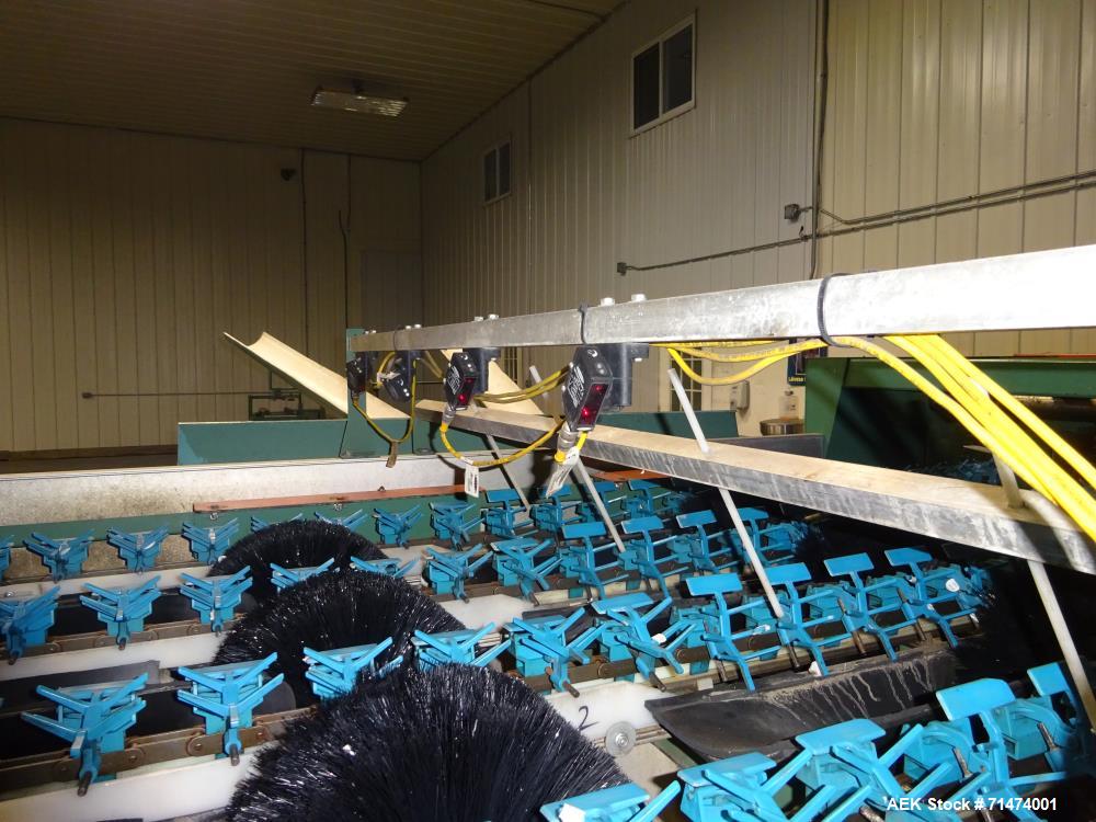 Used Durand-Wayland Fruit Sizing, Polishing and Bag Packaging Line
