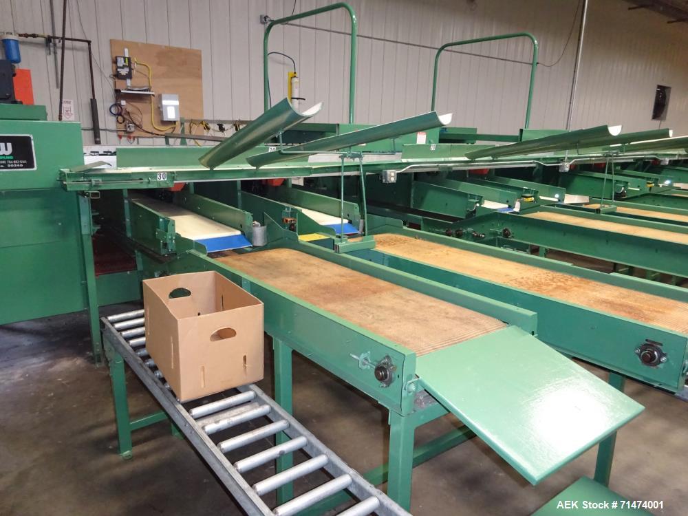 Used Durand-Wayland Fruit Sizing, Polishing and Bag Packaging Line