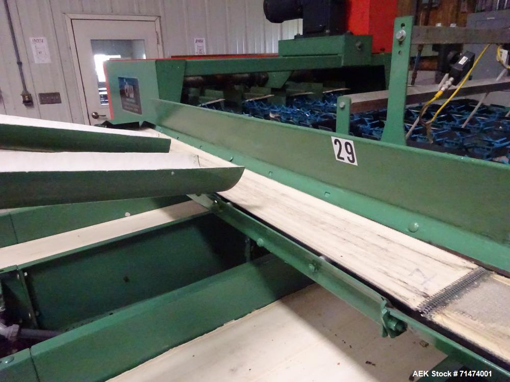 Used Durand-Wayland Fruit Sizing, Polishing and Bag Packaging Line