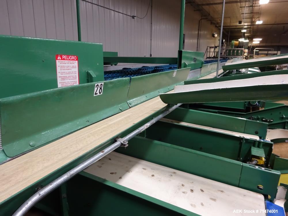 Used Durand-Wayland Fruit Sizing, Polishing and Bag Packaging Line