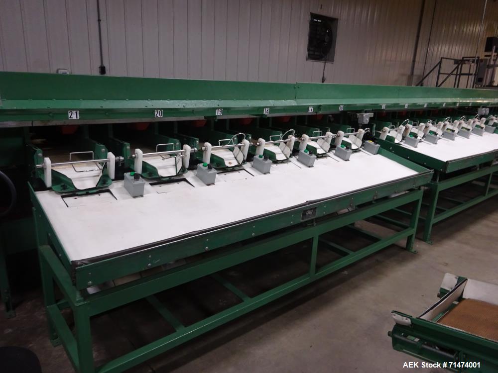 Used Durand-Wayland Fruit Sizing, Polishing and Bag Packaging Line