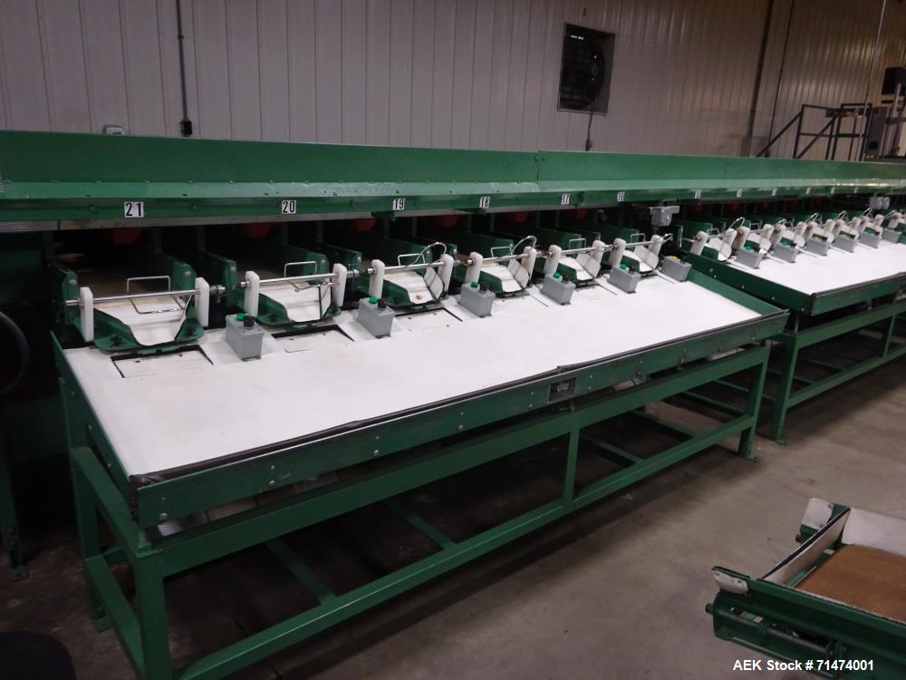 Used- Durand-Wayland Fruit Sizing, Polishing and Bag Packaging Line