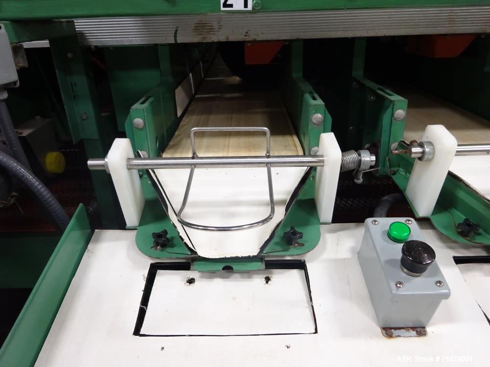 Used Durand-Wayland Fruit Sizing, Polishing and Bag Packaging Line