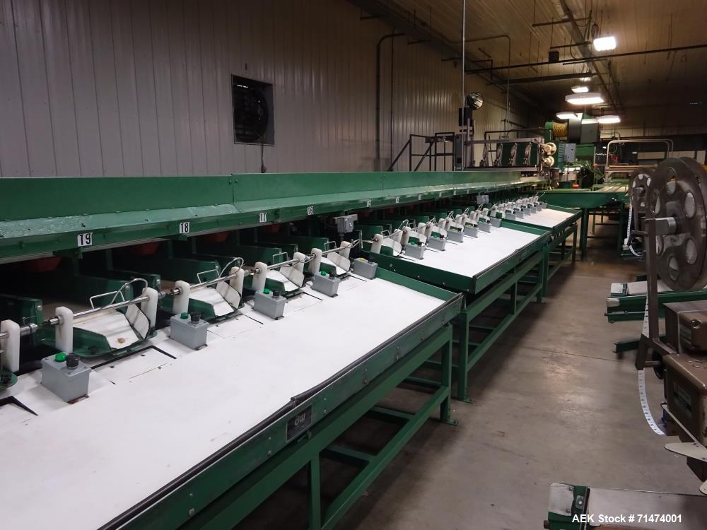 Used Durand-Wayland Fruit Sizing, Polishing and Bag Packaging Line