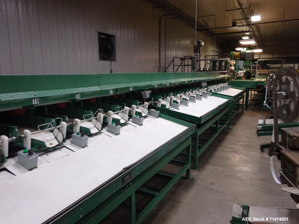 Used- Durand-Wayland Fruit Sizing, Polishing and Bag Packaging Line