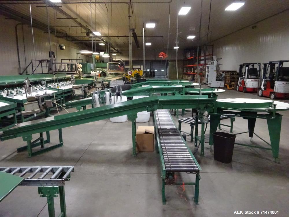 Used Durand-Wayland Fruit Sizing, Polishing and Bag Packaging Line