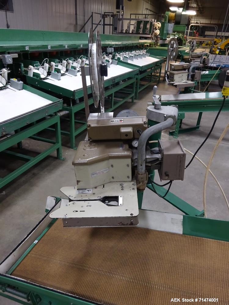 Used Durand-Wayland Fruit Sizing, Polishing and Bag Packaging Line