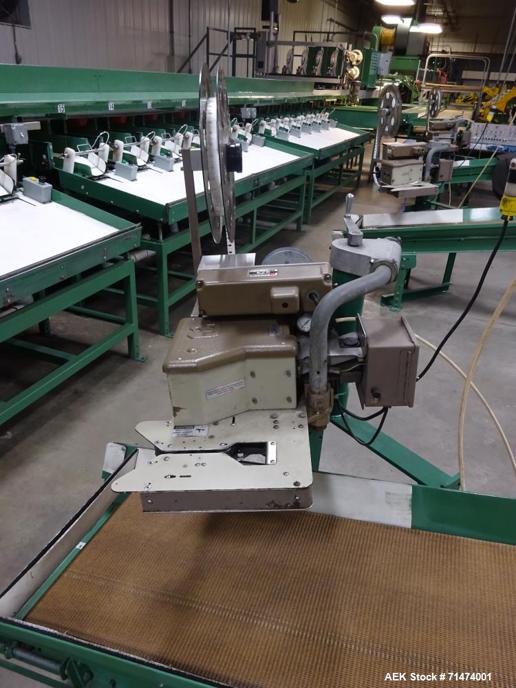 Used- Durand-Wayland Fruit Sizing, Polishing and Bag Packaging Line