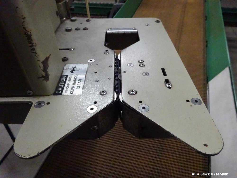 Used Durand-Wayland Fruit Sizing, Polishing and Bag Packaging Line