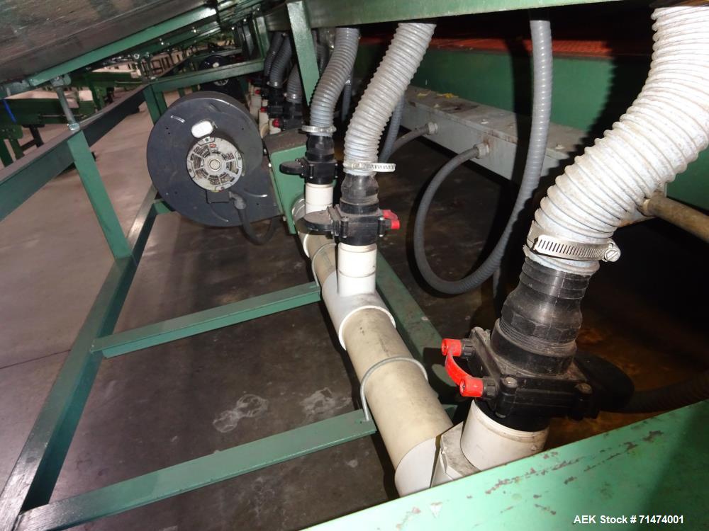 Used Durand-Wayland Fruit Sizing, Polishing and Bag Packaging Line