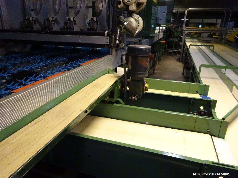 Used Durand-Wayland Fruit Sizing, Polishing and Bag Packaging Line