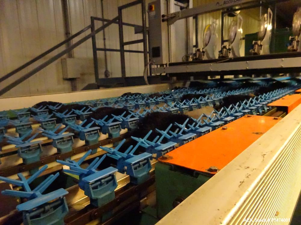 Used Durand-Wayland Fruit Sizing, Polishing and Bag Packaging Line