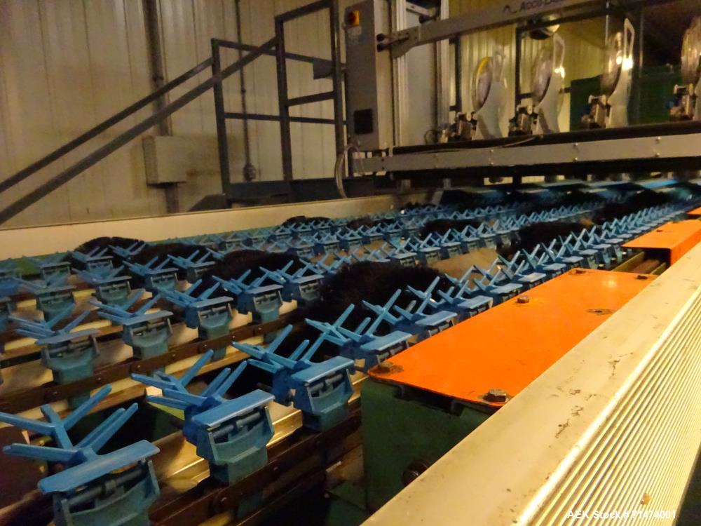 Used- Durand-Wayland Fruit Sizing, Polishing and Bag Packaging Line