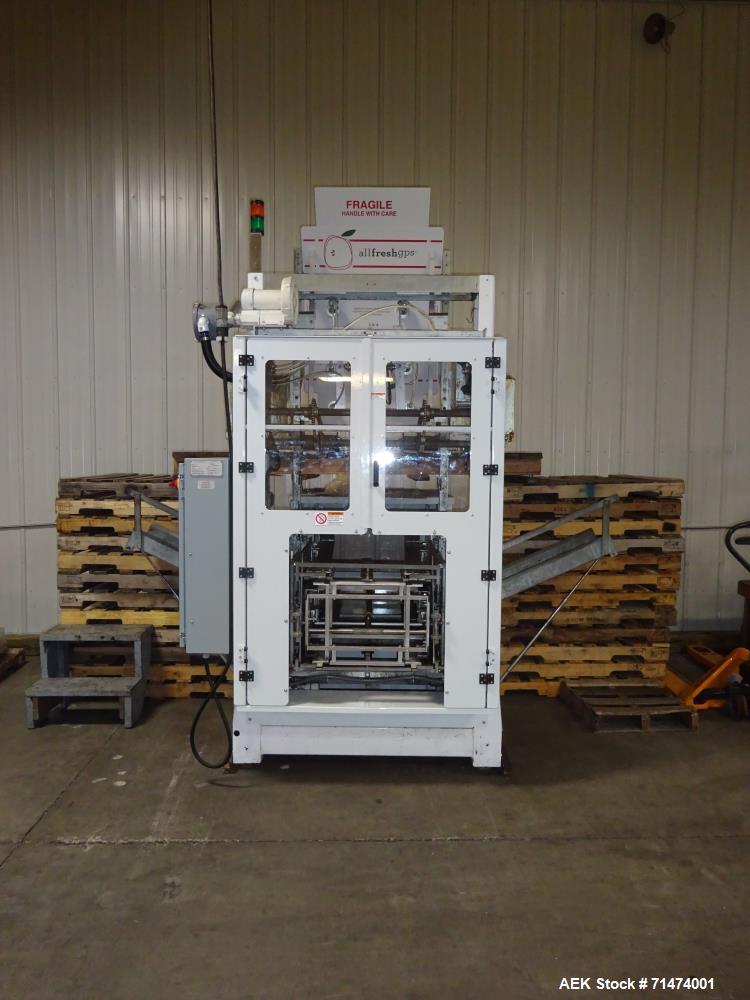 Used Durand-Wayland Fruit Sizing, Polishing and Bag Packaging Line