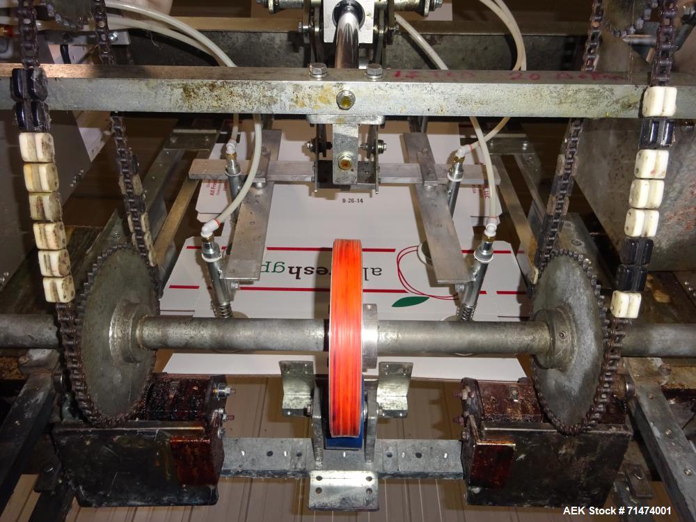 Used Durand-Wayland Fruit Sizing, Polishing and Bag Packaging Line