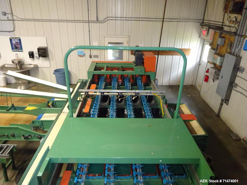 Used Durand-Wayland Fruit Sizing, Polishing and Bag Packaging Line
